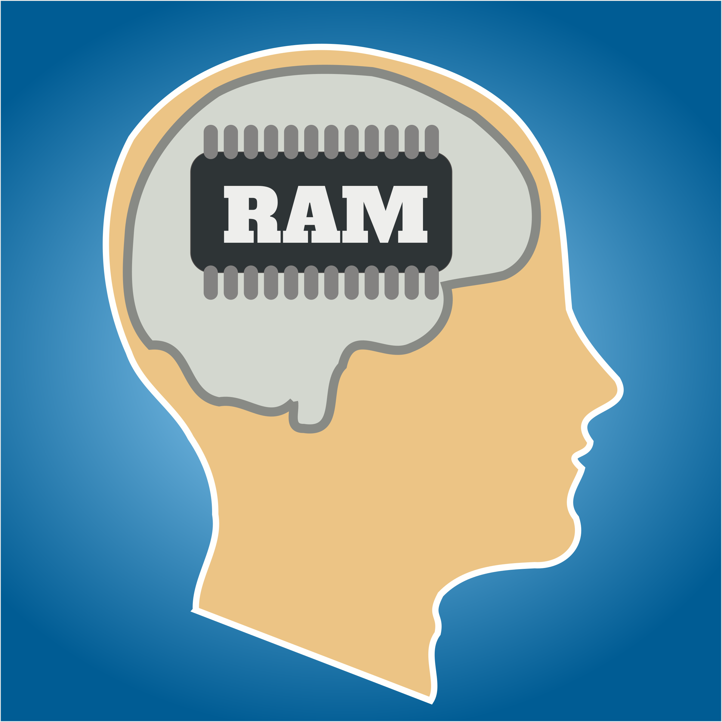 025 - Working With a Reduced Working Memory - Technicolor Mindset